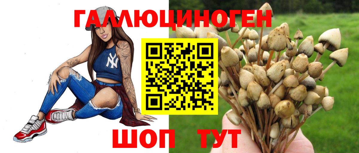 хочу   Вход с VPN  Лабинск  Псилоцибиновые грибы Psilocybine cubensis 
